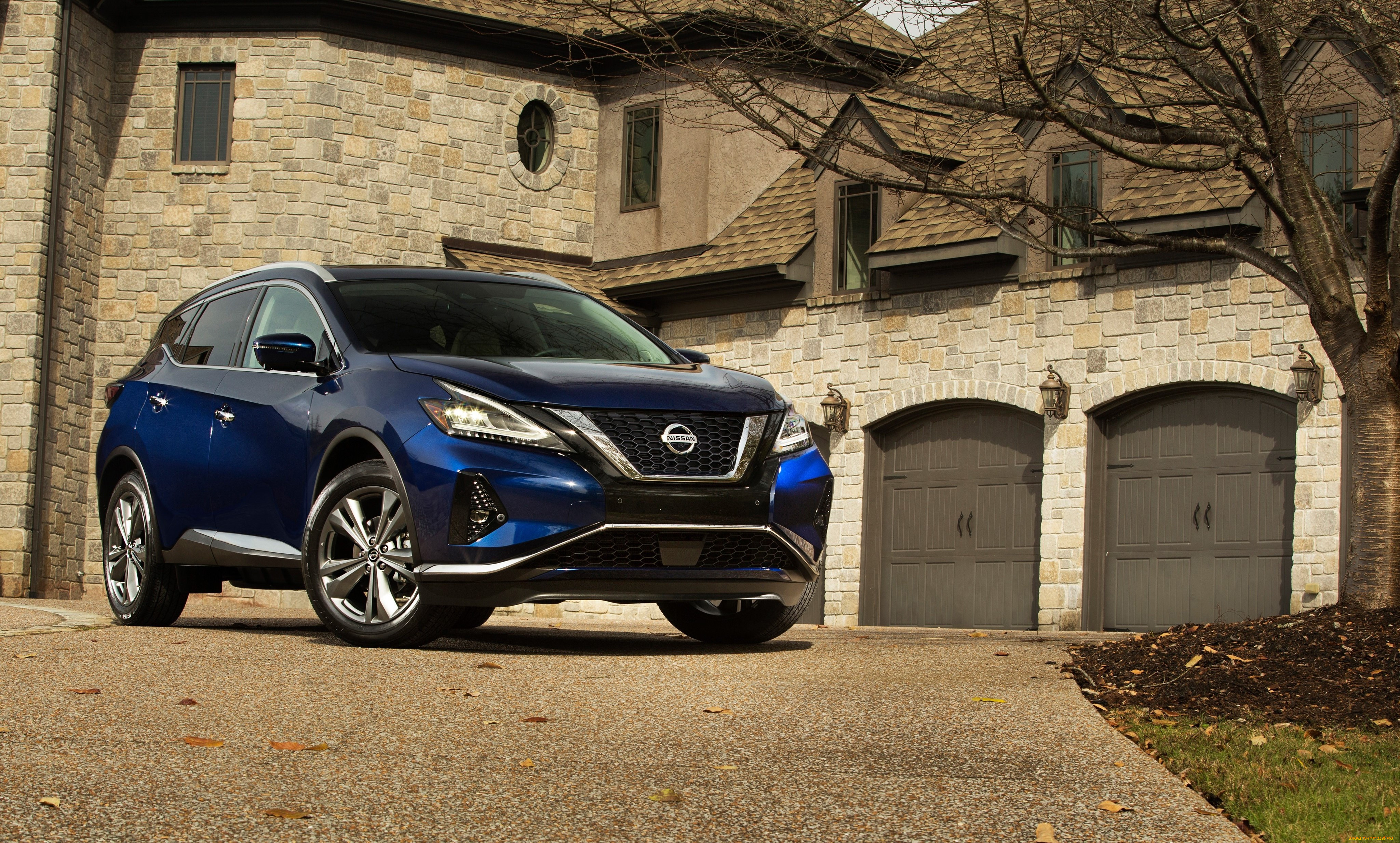 , nissan, datsun